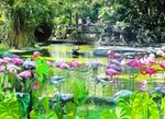 Parque de la Conservación2.jpg