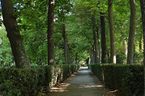 Foto-041.jpg