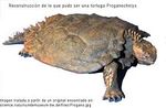 Proganochelys21.jpg