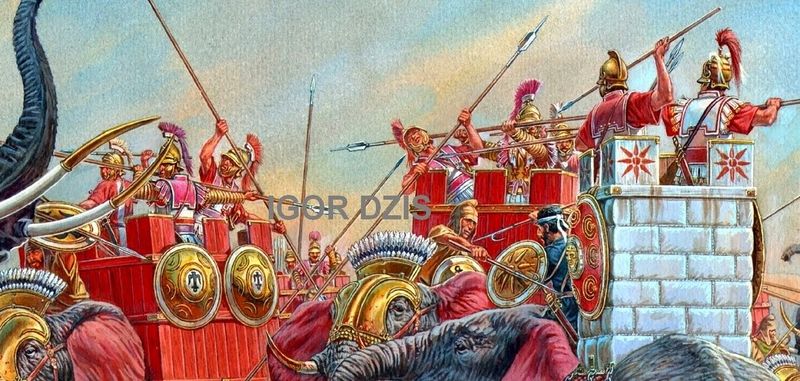 Archivo:Raffia 6aa.JPG