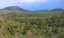 Alturas de Santa Clara 1.jpg
