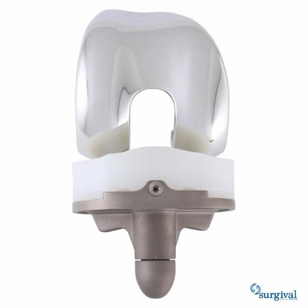 Archivo:Protesis de rodilla.jpg