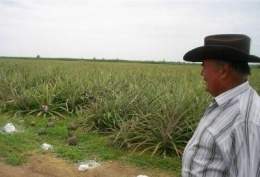 Ramón Javier.jpg