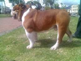 BB del Valle .jpg