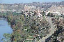CINCO OLIVAS (Zaragoza).jpg