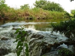 Rio-candelaria.jpg