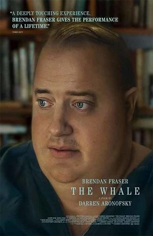 The-whale.jpg