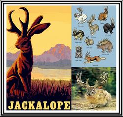 Jackalope.jpg