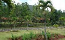 Pinares de Mayari.jpg