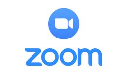Zoomv.jpg