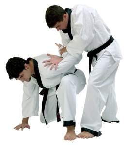 Hapkido.jpg