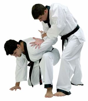 Hapkido.jpg