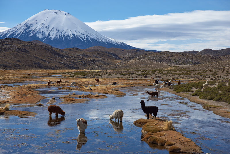 Archivo:Parque lauca.jpg