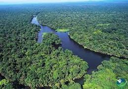 RíoTortuguero98.jpg