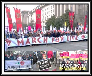 Marchforlive.jpg