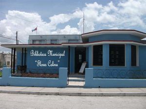 Flores colina.jpg
