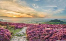 Que-hacer-en-yorkshire.jpg