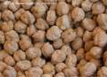 Garbanzos1.jpg