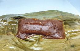 Chapana peruana.jpg