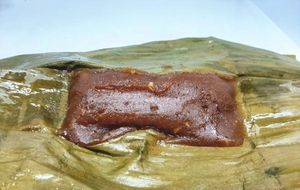 Chapana peruana.jpg