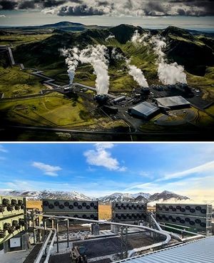 Islandia-planta.jpg
