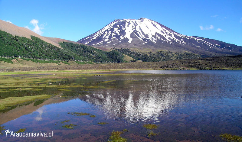Archivo:Reserva-nacional-las-nalcas.jpg