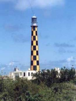 Paredon m.jpg