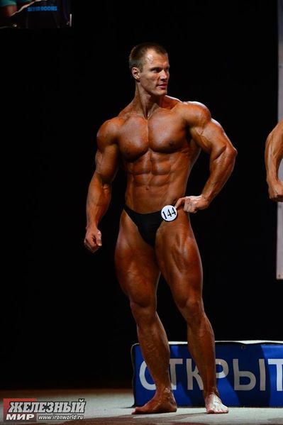 Archivo:Andrey Shmidt.jpg