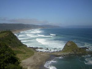 Reserva-punta-curinanco.jpg