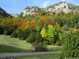 Valle de aragues del puerto.jpg