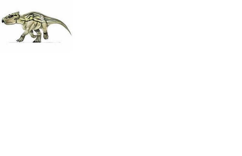 Archivo:Breviceratops.JPG