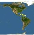 Miniatura de la versión del 12:52 29 may 2019
