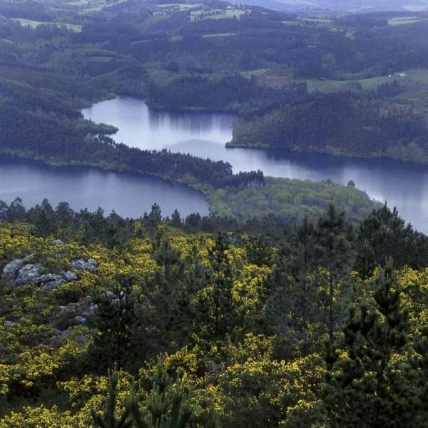 Archivo:Fragas-do-Eume.jpg