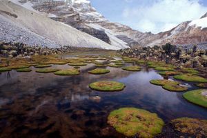 Parque-el-cocuy2.jpg
