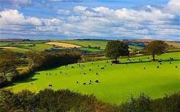 Parque Nacional de Exmoor.jpg