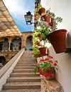 Calleja de las Flores3.jpg