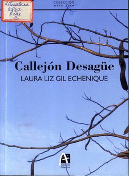 Callejon Desague-Laura Liz Gil Echenique.jpg