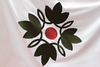 Bandera-ucentral.jpg.png
