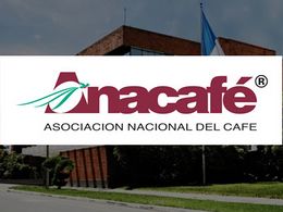 Anacafe2.jpg