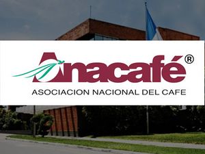 Anacafe2.jpg