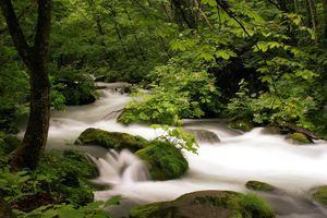 Parque-Nacional-Towada-Hachimantai-en-Japon-2 0.jpg