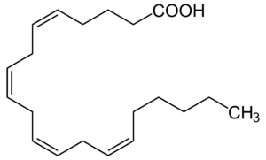 Arachidonsäure2.svg.png