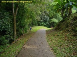 Imagen sendero.JPG