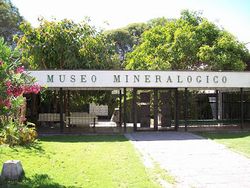 Museo Minerológico de Univ. de Atacama.jpg