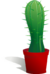 Cactus.png