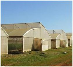 Casa de cultivo.JPG