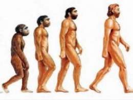 Evolucion humana.jpg