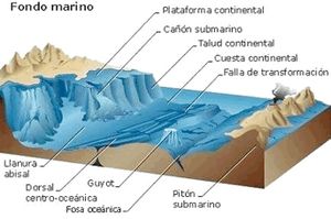 Talud corte.jpg