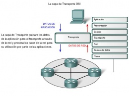 Capa de transporte.JPG