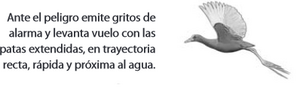 Vuelo().png
